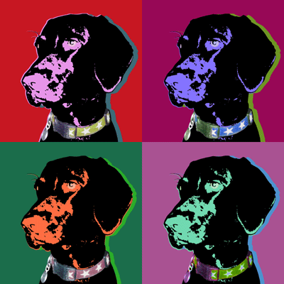 dog warhol style