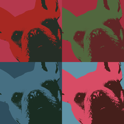 french bulldog pop art
